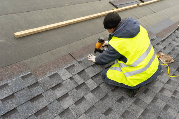 Best Roof Coating and Sealing  in Lake Leann, MI