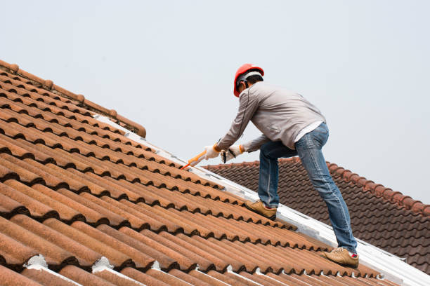 Lake Leann, MI  Roofing repair and installation Company